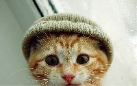 Профиль